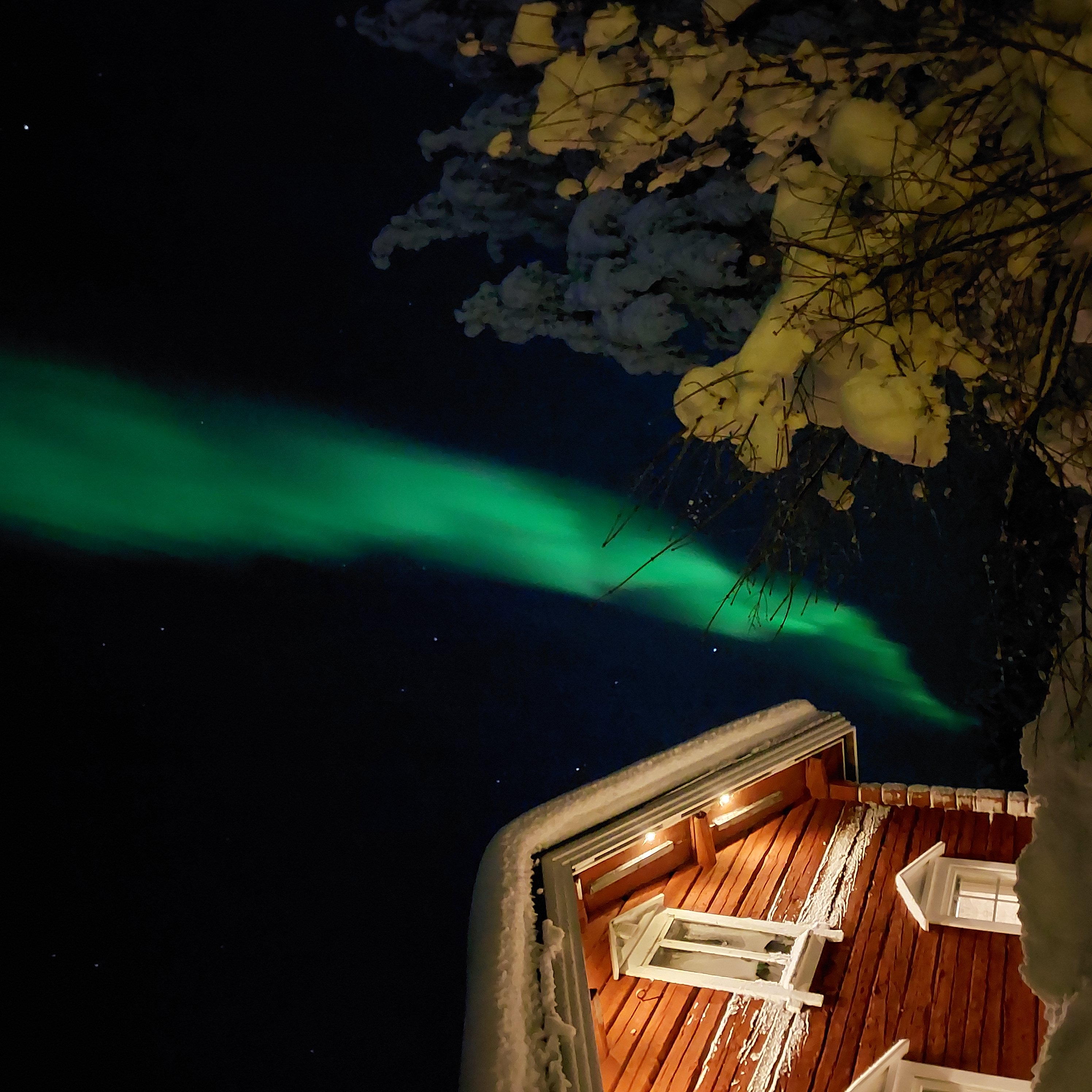 Northern Lights 