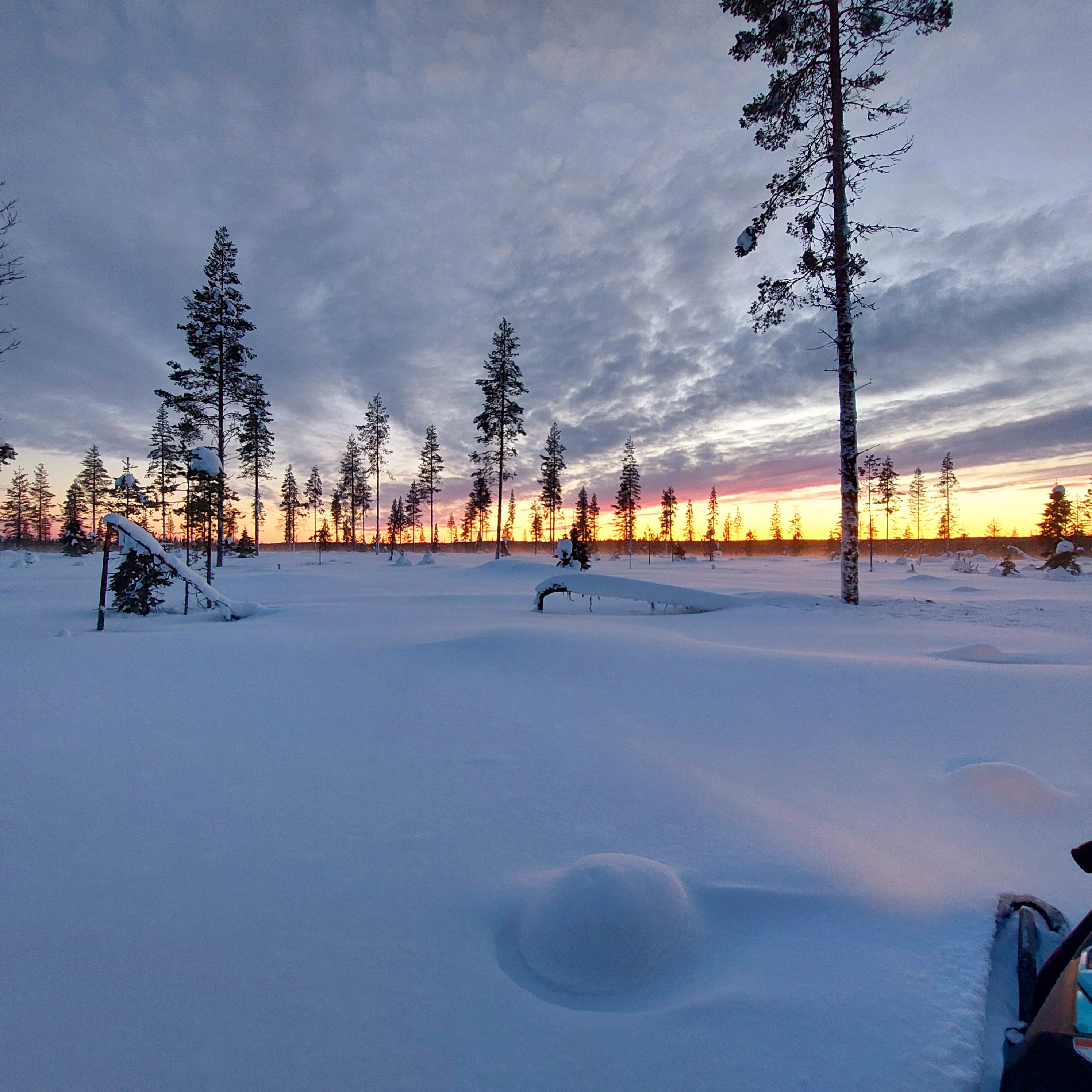 Self-guided snowshoe adventure on reindeer trail