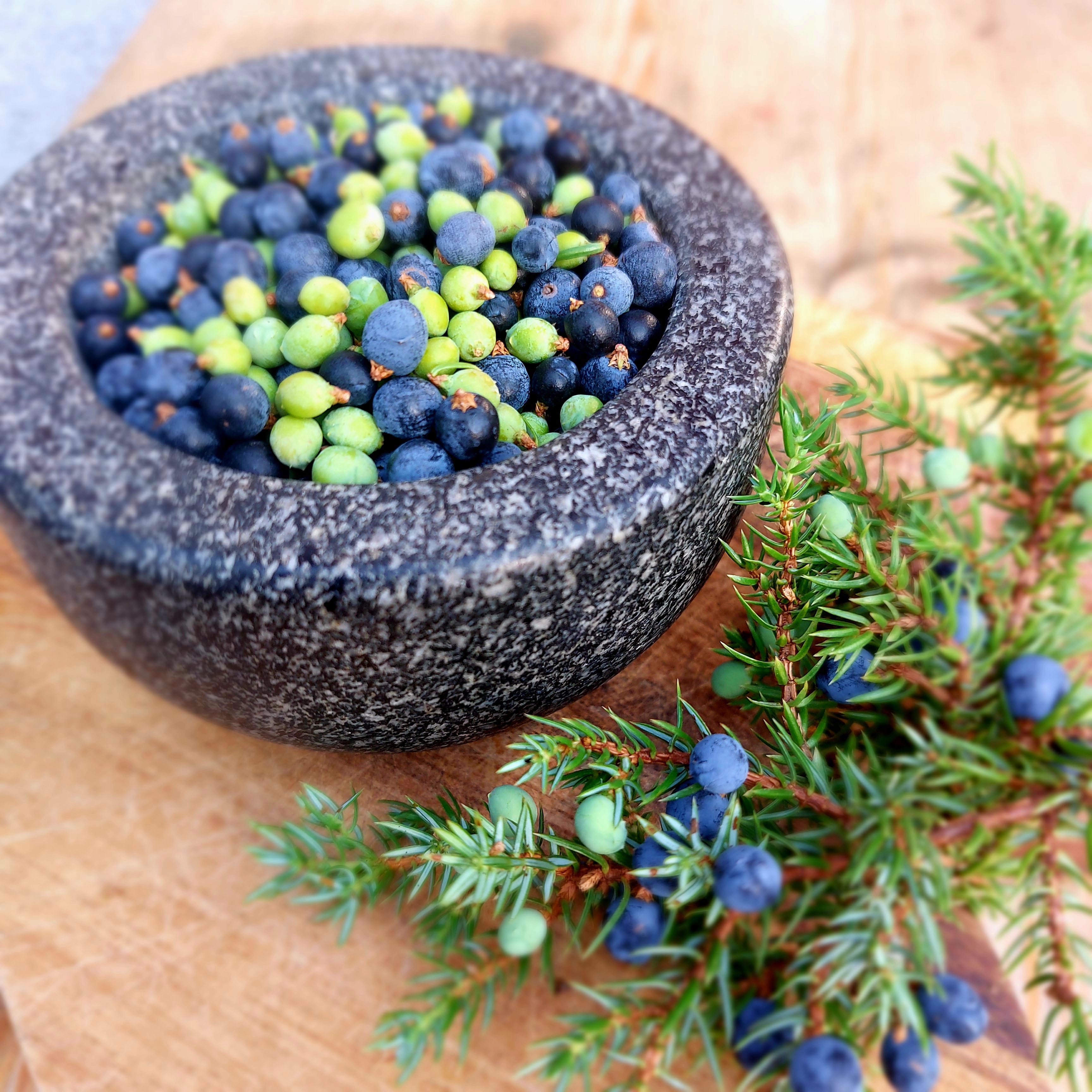 Juniper
